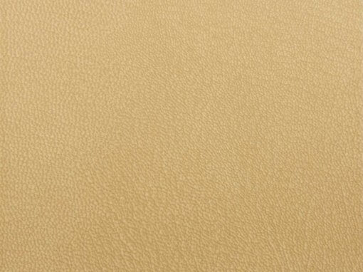 EPSILON LEATHER BEIGE ON KYDEX THERMO PLASTIC