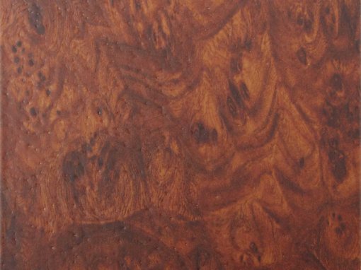 CURL ELM ON PHENOLIC RESIN